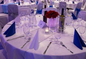 Programmable LED Vases